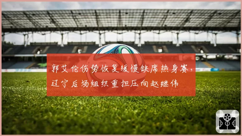 郭艾伦伤势恢复缓慢缺席热身赛，辽宁后场组织重担压向赵继伟