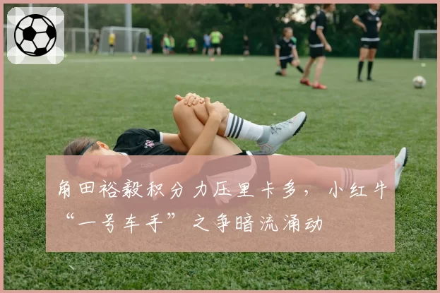 角田裕毅积分力压里卡多，小红牛“一号车手”之争暗流涌动