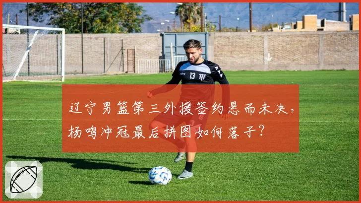 辽宁男篮第三外援签约悬而未决,杨鸣冲冠最后拼图如何落子?