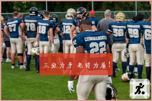 三分为矛 老将为盾！