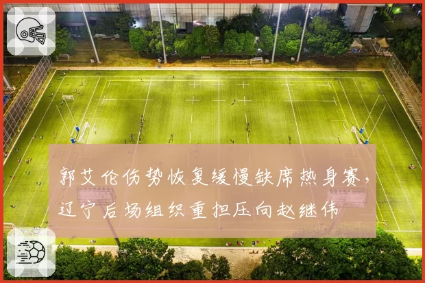 郭艾伦伤势恢复缓慢缺席热身赛，辽宁后场组织重担压向赵继伟