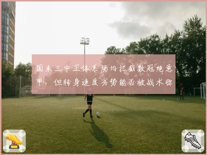 国米三中卫体系场均拦截数冠绝意甲，但转身速度劣势能否被战术弥补？