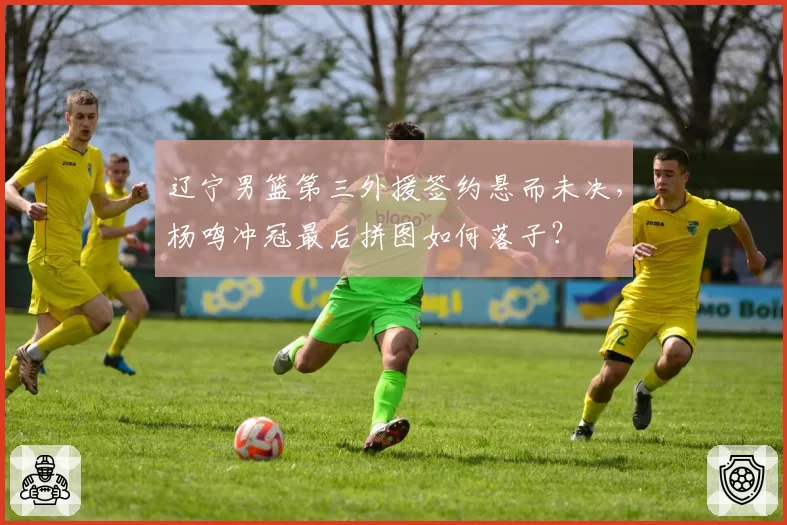 辽宁男篮第三外援签约悬而未决,杨鸣冲冠最后拼图如何落子?